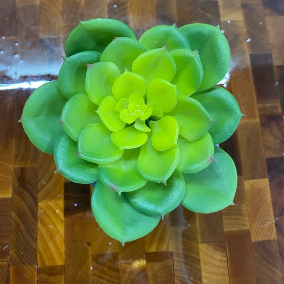 Faux Succulent, in 3”H circular pot (2 available for individual purchase) - Picture 3 of 11